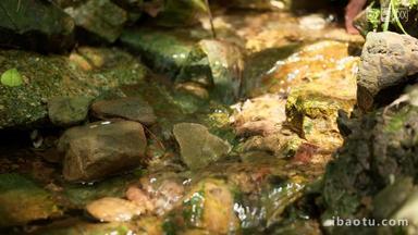 春天山泉水小溪流潺潺流水苔藓